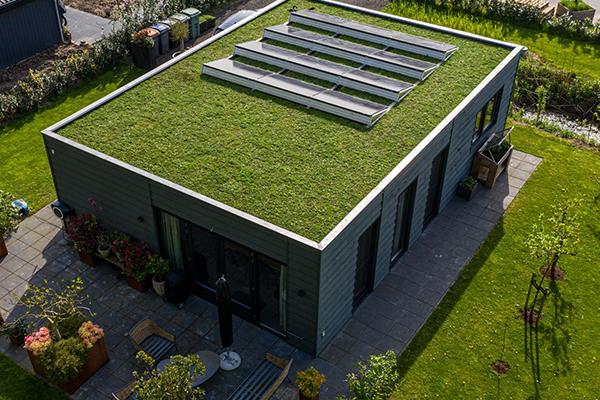 Green Roof 